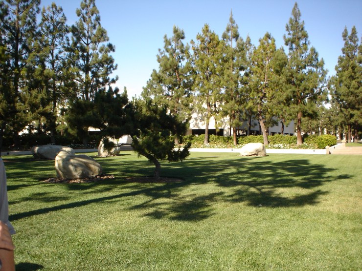 DSC01458