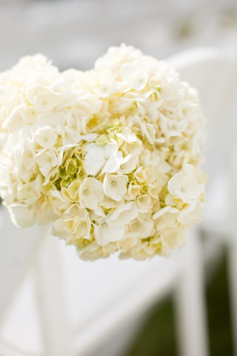 Vy & Brian Wedding - 0065