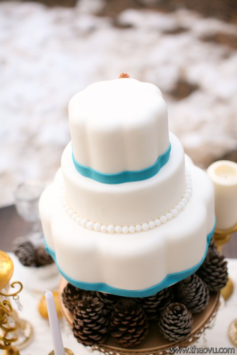 WinterBrides__Thao_Vu_Photography_745_low