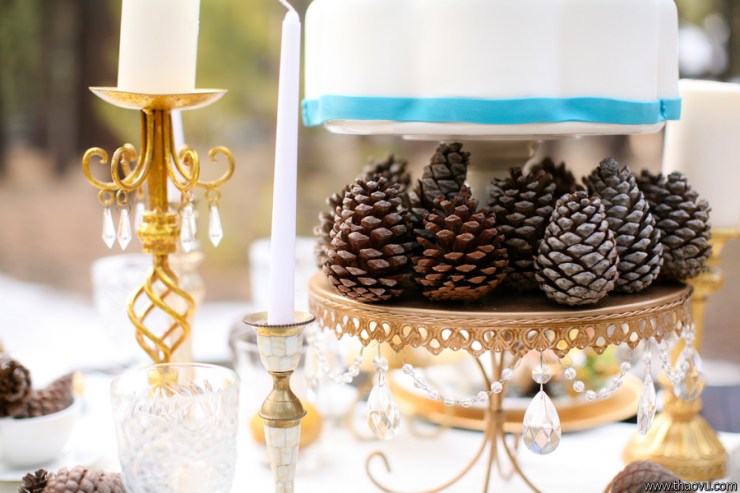 WinterBrides__Thao_Vu_Photography_747_low