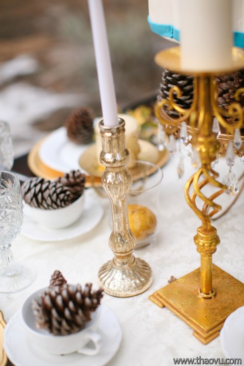 WinterBrides__Thao_Vu_Photography_804_low