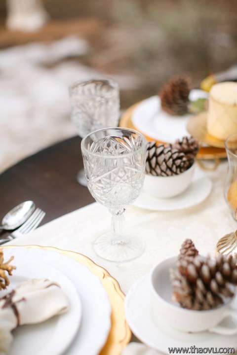 WinterBrides__Thao_Vu_Photography_808_low