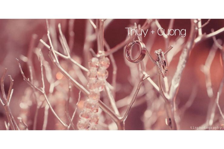 737572_537372682954694_342643775_o