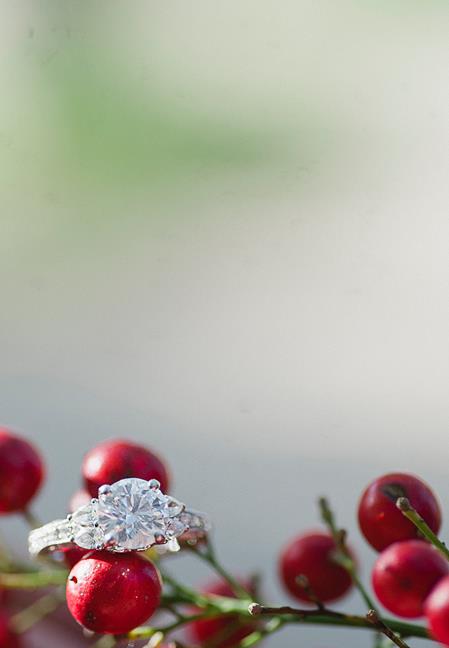 l+and+r361660-2559283604-O