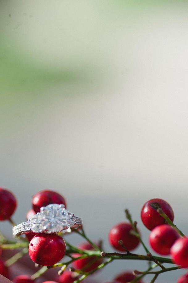 Lanny+and+Richard+-+Carissa+Wo-2559362813-O