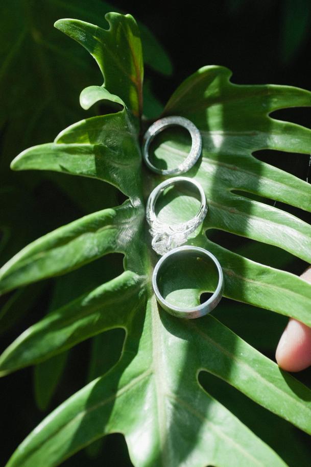 Lanny+and+Richard+-+Carissa+Wo-2559366494-O