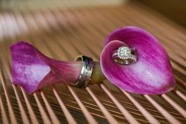 913992_588633991193404_1284625281_o