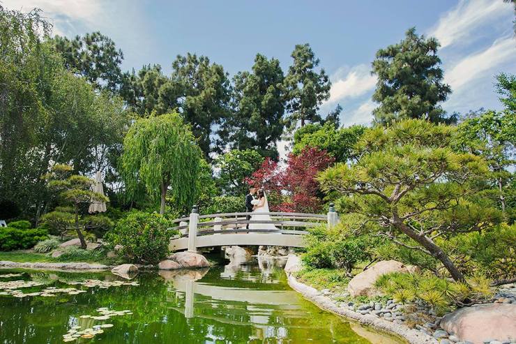 10265654_802049429820350_2531047190821266746_o