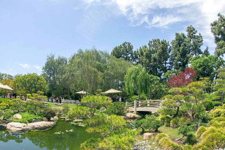 10353280_802049943153632_326383458436937261_o