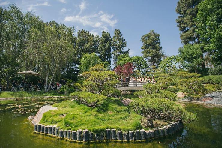 1497891_802050246486935_1277026303775561215_o