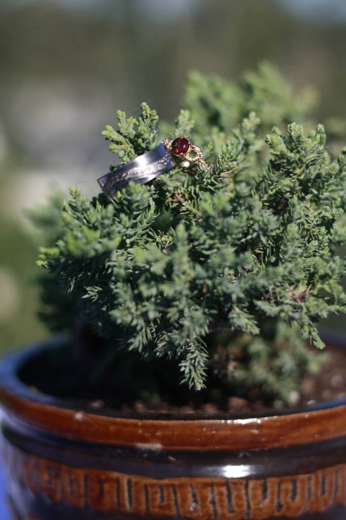 11154929_10155454653360529_2696426327980692662_o