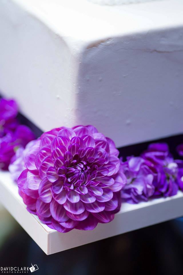 11012516_10206237005716402_7186967241075383919_n