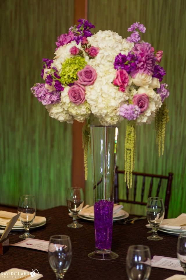 11707473_10206237004476371_3582725308004561553_n