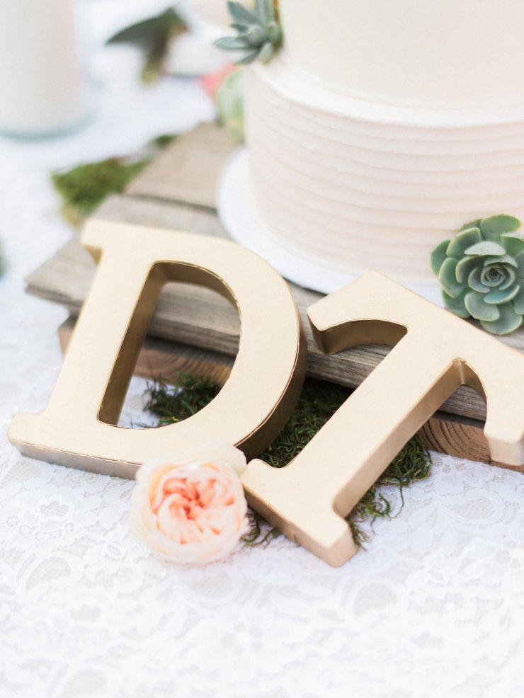 dianaandtony-wedding-1039