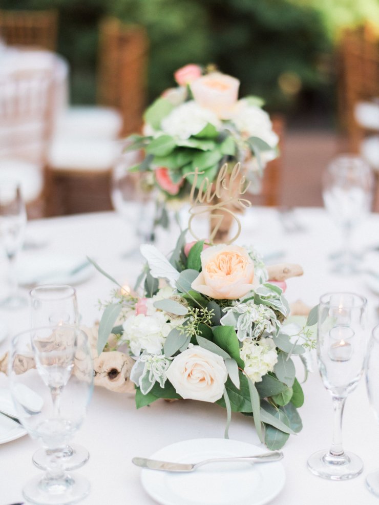 dianaandtony-wedding-1061