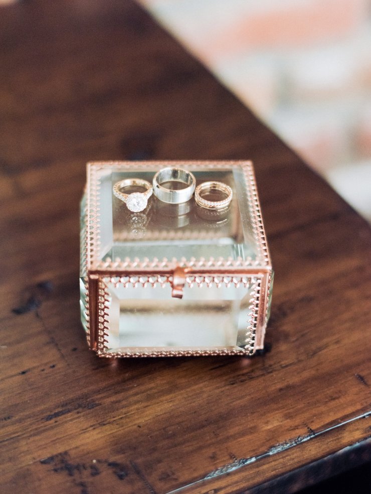 dianaandtony-wedding-8