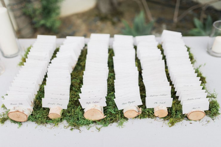 dianaandtony-wedding-802