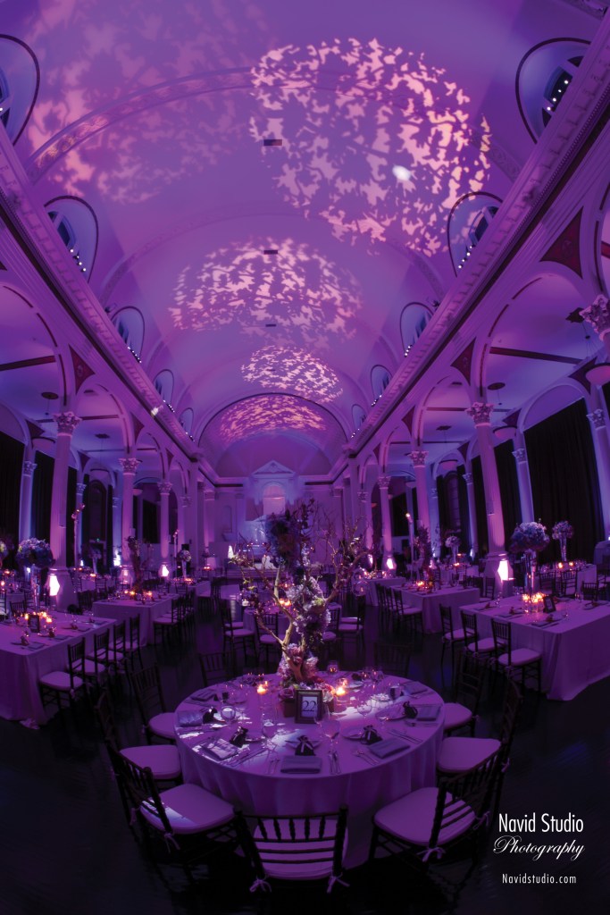 IMG_0803©Navidstudio